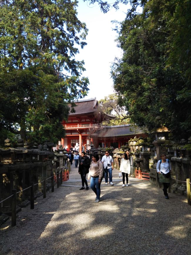 春日大社にも立ち寄りました（有料エリアには入っていません）