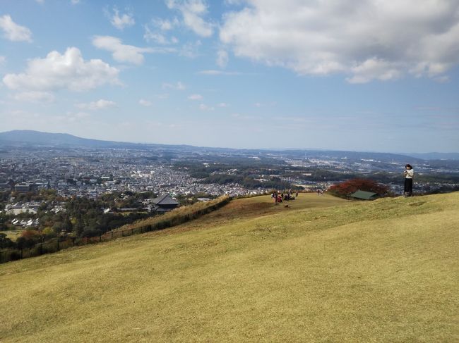 頂上手前の展望台（一重目）でゴールという事にしておきました。<br /><br />手前に見える大きな屋根は大仏さんの東大寺です。<br />