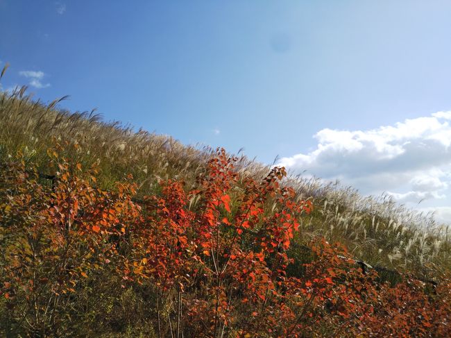 下山途中です。<br /><br />ススキもきれいでした。