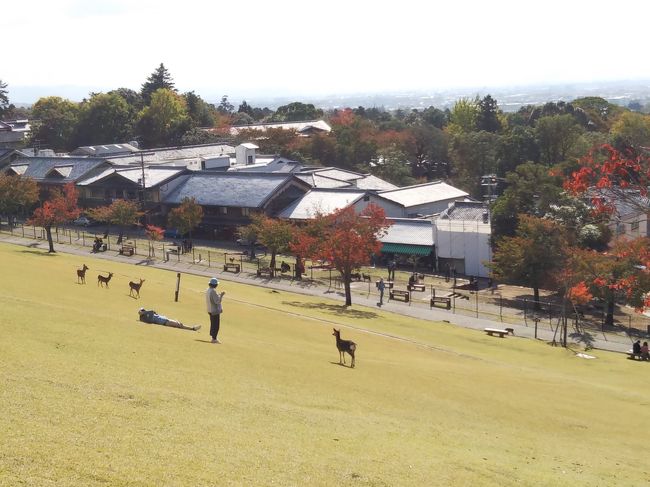 麓まで下りてきました。<br /><br />平日なので人もまばらでのどかな雰囲気でした。