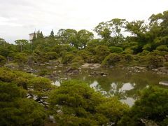 　庭は「松濤園」と呼ばれ、は明治期に整えられた近代庭園。池を中心に松や岩を配されて見事です。冬には野鴨がやってくるとか。