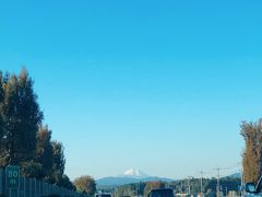 日曜日の朝、早起きをして関越道に乗り、江の島を目指します。
途中嵐山で休憩。

正面に富士山が見えました！
いつもは電車で向かうことが多いのですが、今回都心部の混雑（天皇陛下即位祝賀パレードの日）を避ける為に車で向かいました。久しぶりに車で移動したので、いろいろ新鮮で車内からぱちり。