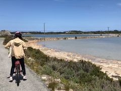 島では自転車を借り気ままに動けます。自転車はフェリーとセットで予約してので
フェリーを降りた所でスタッフのお兄さんが身長に合わせて用意してくれます。
・・・が、私達はうっかりフェリーを降り島のレンタル自転車ショップへ行ってしまい再び桟橋まで戻ったと言う超おまぬけで時間と体力の無駄遣いをしてしまいました。
