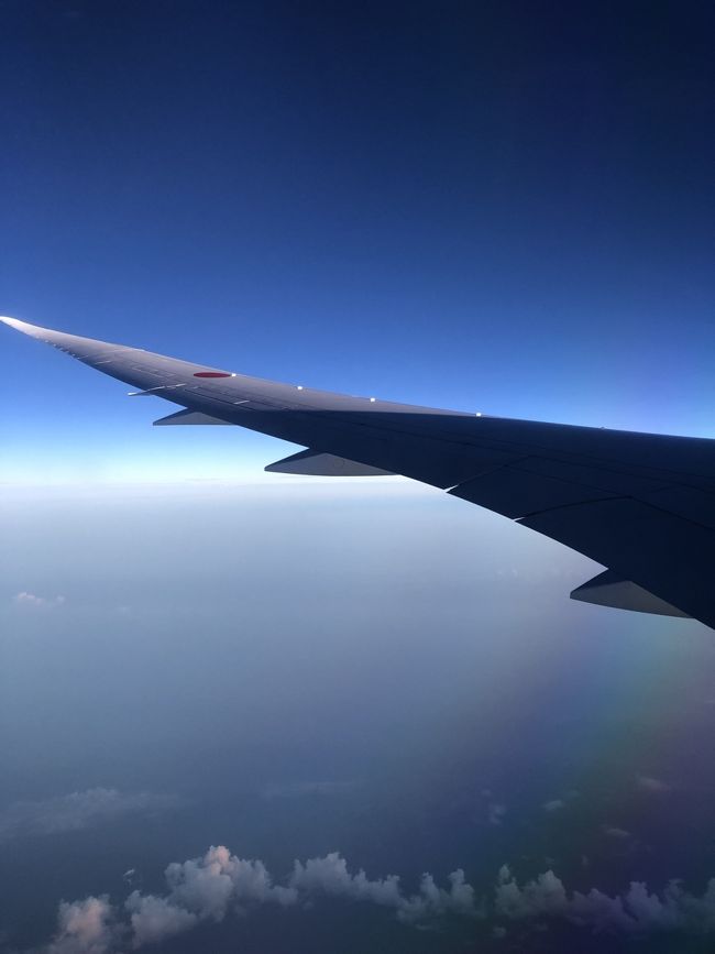 もうすぐ羽田。快晴の朝空。