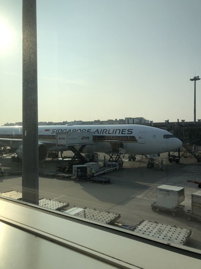 無事帰国。東京暑い。