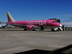 今回はピンクの飛行機。
名古屋から新潟へは55分と、あっという間。