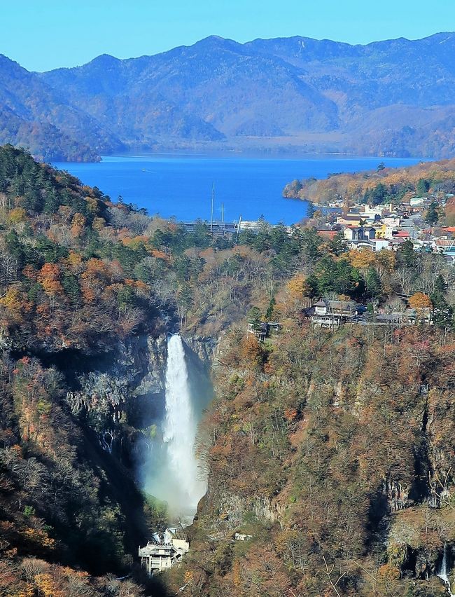 サンチャゴ　天然木　一枚板　衝立 つい立 オブジェ置物 徳川家康遺訓　日光 サンチャゴ 天然木 一枚板 衝立 つい立 オブジェ置物 徳川家康