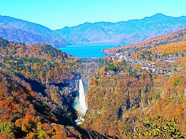 サンチャゴ　天然木　一枚板　衝立 つい立 オブジェ置物 徳川家康遺訓　日光 サンチャゴ 天然木 一枚板 衝立 つい立 オブジェ置物 徳川家康