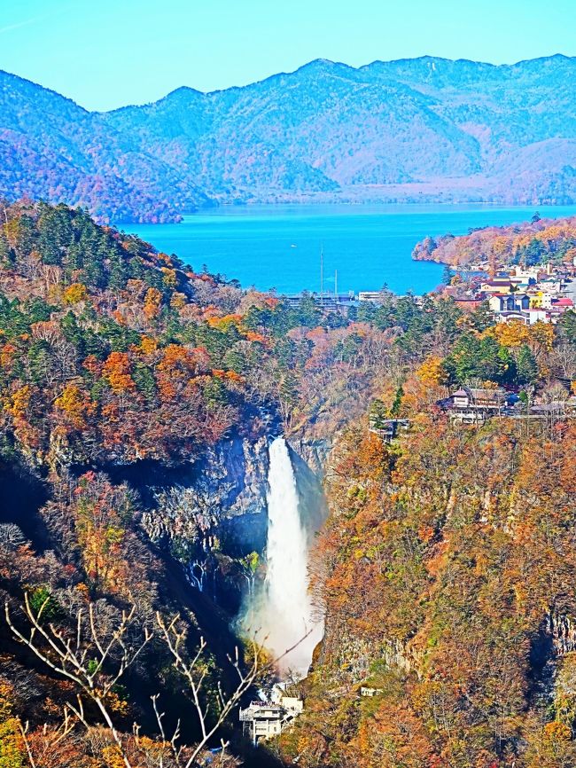 サンチャゴ　天然木　一枚板　衝立 つい立 オブジェ置物 徳川家康遺訓　日光 サンチャゴ 天然木 一枚板 衝立 つい立 オブジェ置物 徳川家康