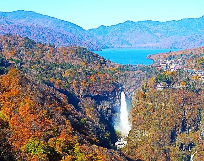 サンチャゴ　天然木　一枚板　衝立 つい立 オブジェ置物 徳川家康遺訓　日光 サンチャゴ 天然木 一枚板 衝立 つい立 オブジェ置物 徳川家康
