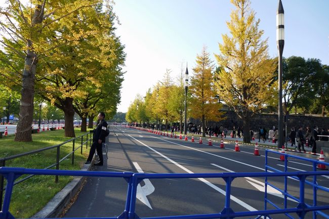 通行止めにしてますね。