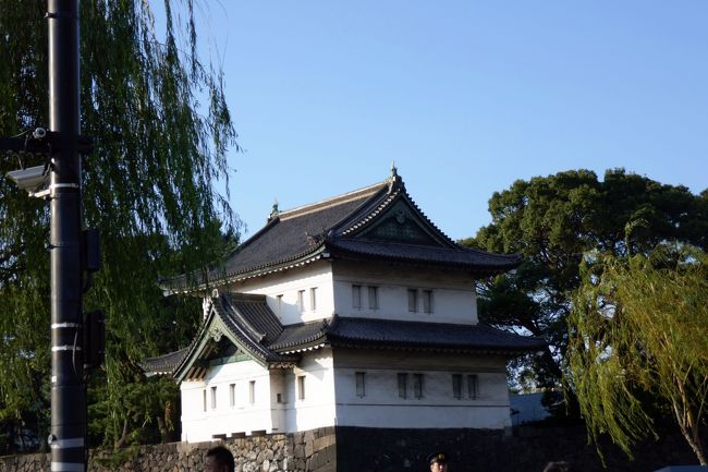 うーん・・あれはなんだろう？？（予備知識ゼロ）