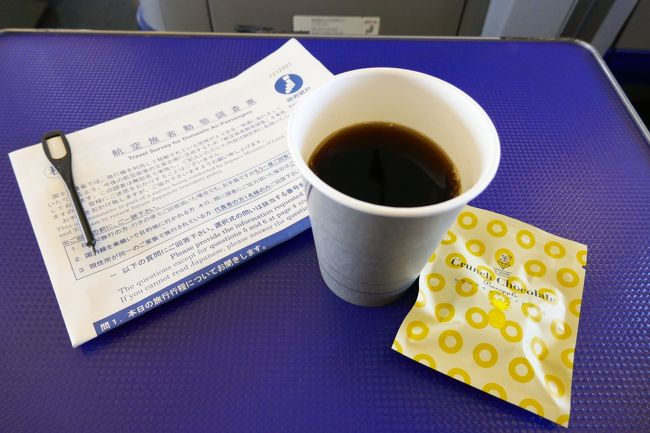 食後にコーヒーいただきました。<br /><br />最近は美味しいクッキーじゃなくてチョコなのね・・パイナップルチョコ美味しかったですよ・・<br /><br />あと、搭乗時にアンケートをお願いされました。珍しいですね～