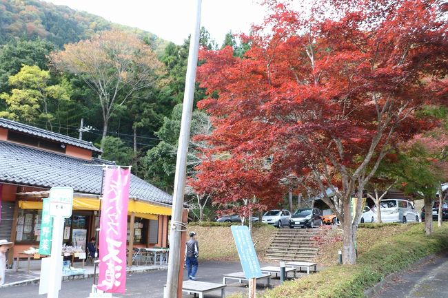 紅葉を楽しみに兵庫県の高源寺と天滝に出かけてきました 養父 兵庫県 の旅行記 ブログ By 旅好き長さんさん フォートラベル 紅葉を楽しみに兵庫県の高源寺と天滝に出かけてきました 養父 兵庫県 の旅行記 ブログ By 旅好き長さんさん フォートラベル