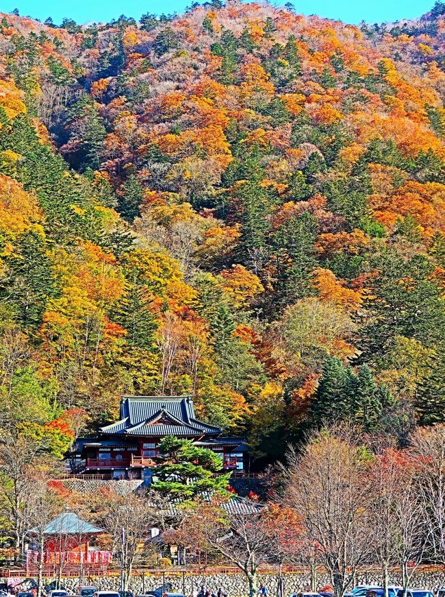 奥日光11 中禅寺湖遊覧船(立木観音-船の駅中禅寺)15分 ☆湖畔の