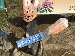 新宿駅西口を7:30に出発して、中央道で西沢渓谷を目指します。
途中トイレ休憩もありながら、西沢渓谷は到着したのは、10:30くらいでした。

西沢渓谷入り口へ向かう道路にキツネさんの案内板(^-^)
10キロのトレッキング スタートです！