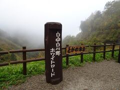 白川郷を観光した後、白山白川郷ホワイトロードを通って、宿泊地の小松へ向かいます。

出発してすぐは、霧の中を走りました。本当にホワイトロードでしたね。