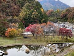 　公園広場も紅葉が始まっています。
　日が暮れるのが早くて、だんだん暗くなってきたので帰路に着きました。