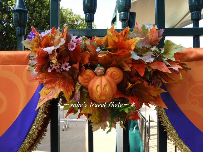 ハロウィンはとにかく可愛い(*≧∇≦)ﾉ