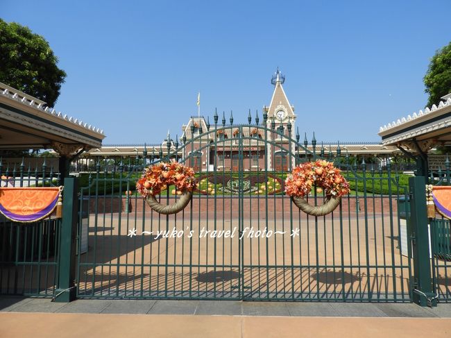 もうす開園！(*^O^*)