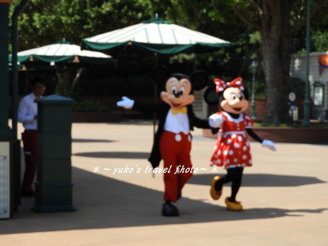 仲良く戻って行きます(^o^)