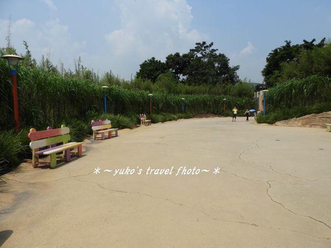 ほぼ人がいません！