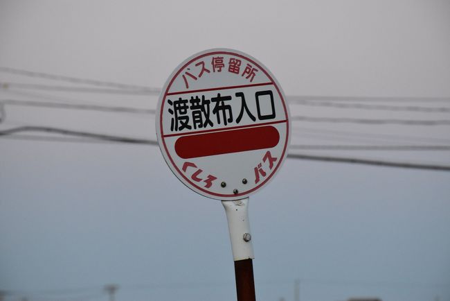 6月初旬の霧多布湿原と奔幌戸海岸ガイドツアー2019～ワタスゲの
