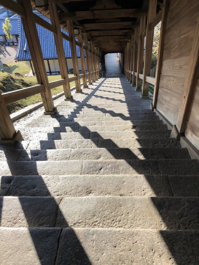 二月堂の階段回路