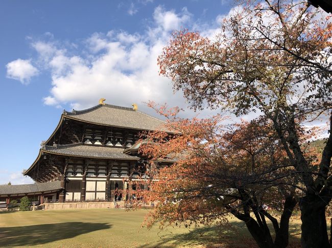 中門横の入り口からみた大仏殿