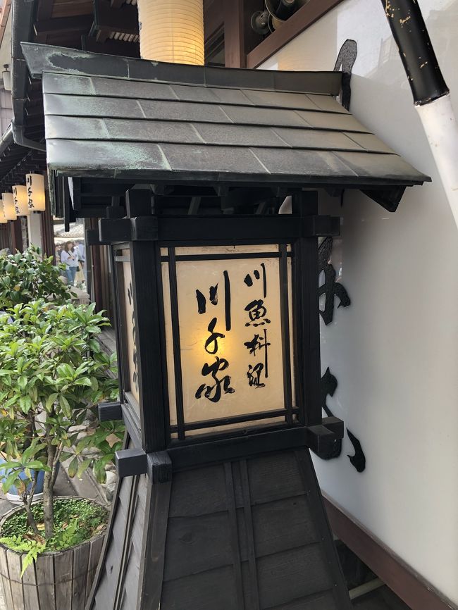 お昼を食べに参道にある川千家へ。