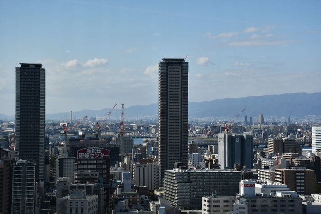 大坂駅直結の十九階、六甲山系が見えます