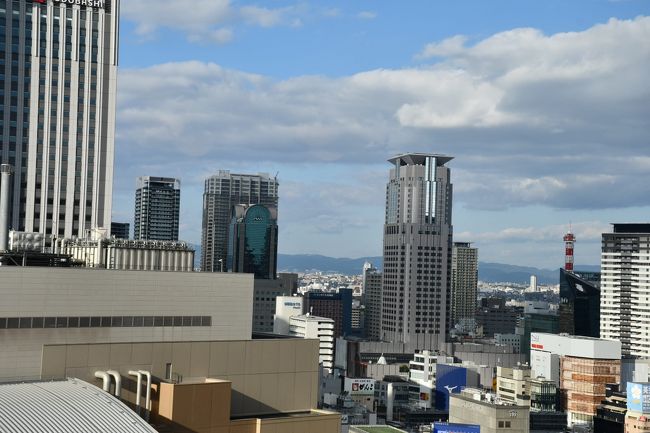 十九階からの眺め