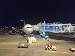 そのまま最終便で東京に戻ります。既に飛行機はスタンバイです。