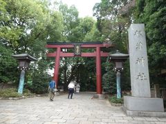 鳥居が有名な根津神社にやってきました。