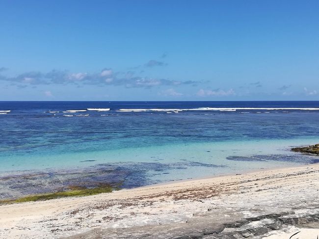 どんどん下に降りてきました。