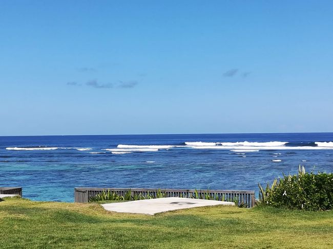 芝生も歩いてみようかな。