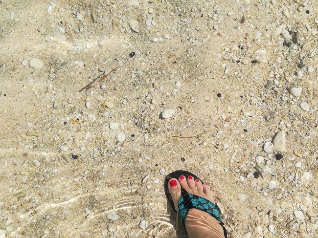 足を写してみましたがはっきり見えます