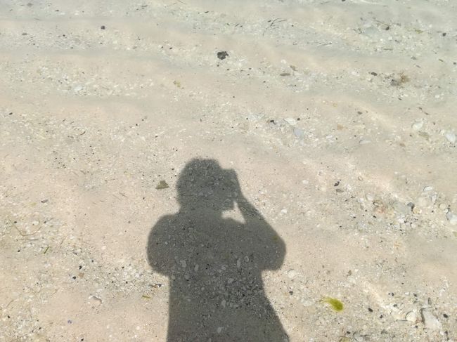 影もくっきり映ります