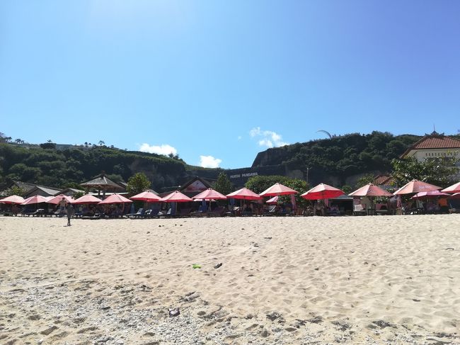 後ろを振り向くとパラソルが一杯！！