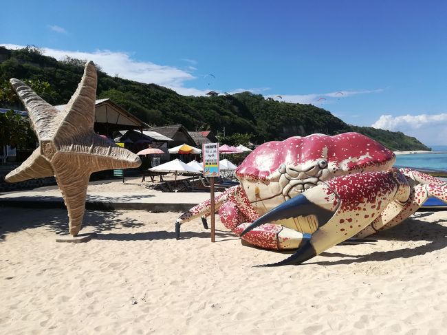 カニさんメインでももう一枚