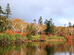 久しぶりの北海道秋旅行 2 紅葉と草モミジに染まった神仙沼 ニセコ 北海道 の旅行記 ブログ By クッシーさん フォートラベル