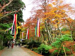 おかしの城や乗馬センターなど、面白いスポットを経由して40分、大山寺バス停に着くと、観光案内所で1日乗車券の特典である拝観券をもらいました。参道も美しい紅葉が楽しめましたが、やはり観光客が多かったです。