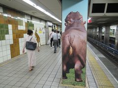 動物園前駅で下車します。
この駅は駅のホームに動物の絵が描かれているのが動物園を表しているのです。