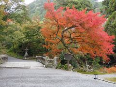 待っている間に日吉大社を見学しようと戻ったものの、入苑受付で尋ねると西本宮まで10分、東本宮は30分かかると聞いて断念。入り口の紅葉だけ写真に撮ってケーブル駅に戻りました。

帰宅後、調べてみると西本宮本殿、東本宮本殿とも国宝の由。実は、比叡山がイマイチだっただけに、こちらを見学しておけば良かったと後悔。