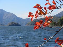 鵜の島
河口湖にある無人島です。河口湖の北岸の大石公園から見た時は人を寄せ付けない樹木がこんもりと生い茂った印象でした。河口湖の南岸のシッコゴ公園から見るとボートが何艘か岸に着いているのが見えました。島に上陸することができるのか後で調べると、自分で漕いでいくしか方法はないことと、桟橋がないことが分かりました。弁財天が祀られているようです。
神秘的な島です。
