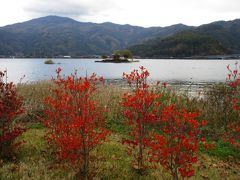 ラベンダー畑で知られる八木崎公園から見た六角堂。
河口湖の浮島に造られている御堂です。日蓮聖人が説法で訪れた川窪の地に弟子たちが御堂を建てたところ、富士山の雪解け水で御堂が流出してしまったそうです。流出した地に礎石が残っていたことから、御堂が存在したことを後世に伝えるために保存施設として建てたものです。御堂は湖の中に建っているため通常近づくことはできませんが、村の人たちにとって大切な御堂だったことがわかる建物です。
