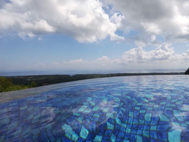 プールの青色と、緑が綺麗です。