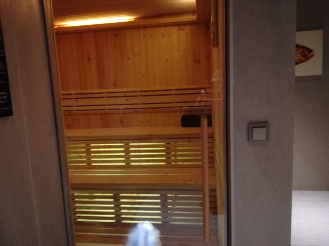 サウナ発見