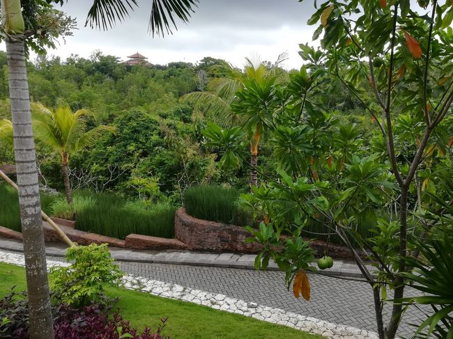 この道はカート道。<br /><br />最初にお部屋に案内されたときにカートを利用しましたけど、その時もエレベーターも使用。<br />色々と回りながら行ったので、迷路のようなホテルだからカート道の事すら忘れてましたわ。<br />写真を確認したらあったので思い出した次第。