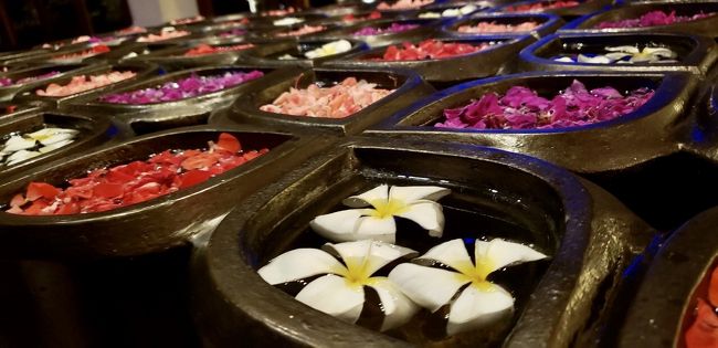 水に浮かんでます。